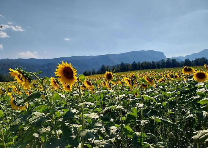 Sobe U Sirrc Отель типа 